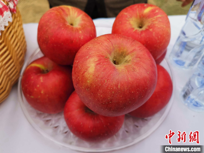 延安蘋果。<a target='_blank'  ><p  align=