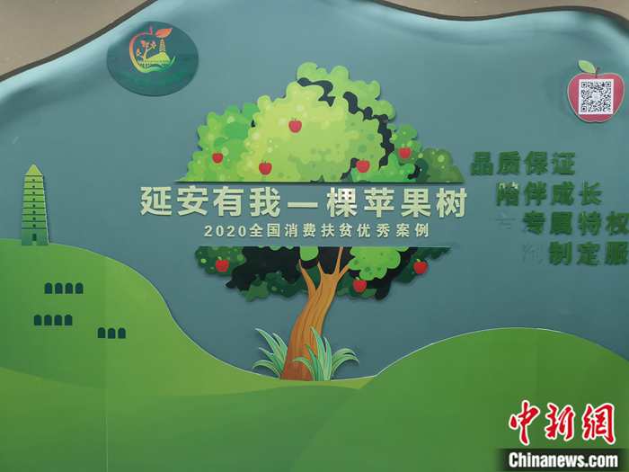 “延安有我一棵蘋果樹”。<a target='_blank'  ><p  align=