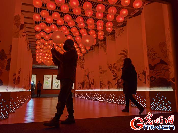 【新春走基層】視頻丨虎年看虎展！來國(guó)博感受虎文化