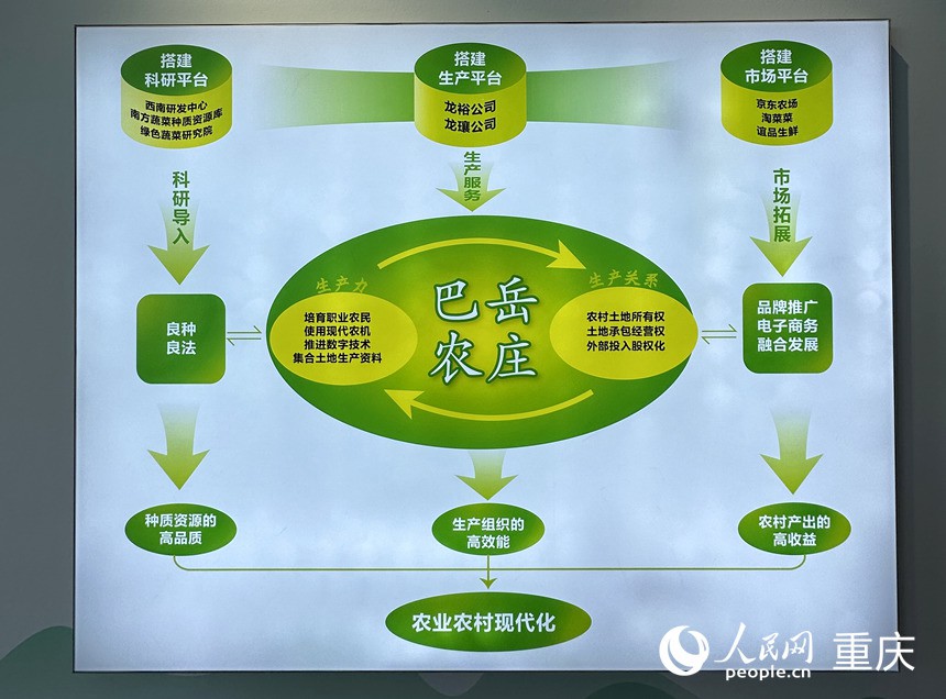 “巴岳農(nóng)莊”運(yùn)作示意圖。人民網(wǎng)記者 劉政寧攝