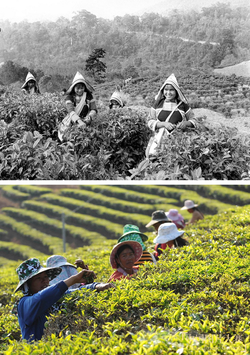 云南基諾山基諾族群眾的小康之路